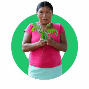icono-3